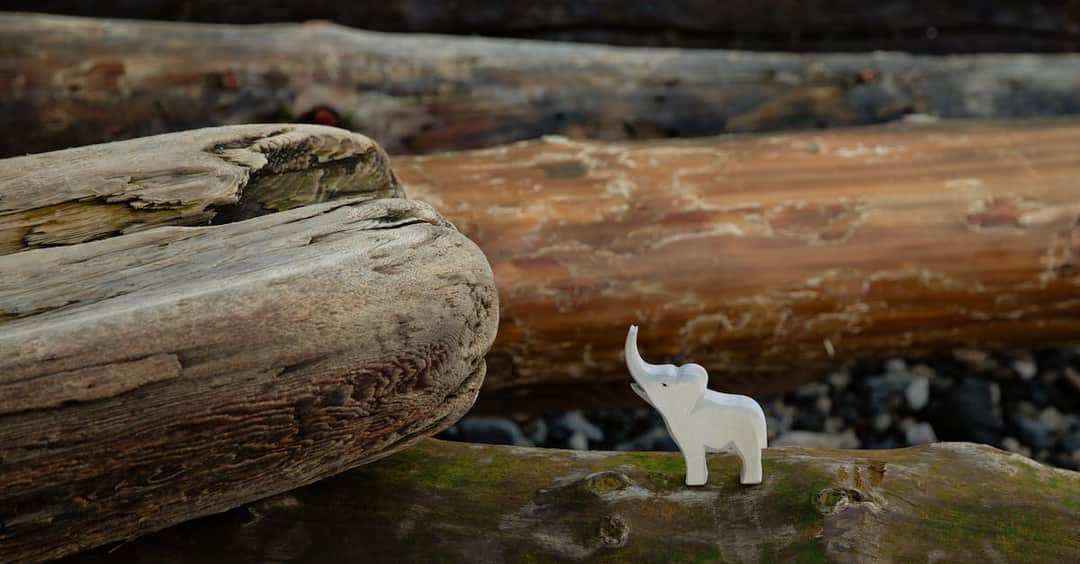 Dungeons & Dragons 2023 - Przygody w fantastycznym świecie