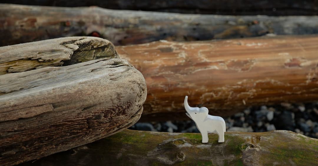 Dungeons & Dragons 2023 - Przygody w fantastycznym świecie