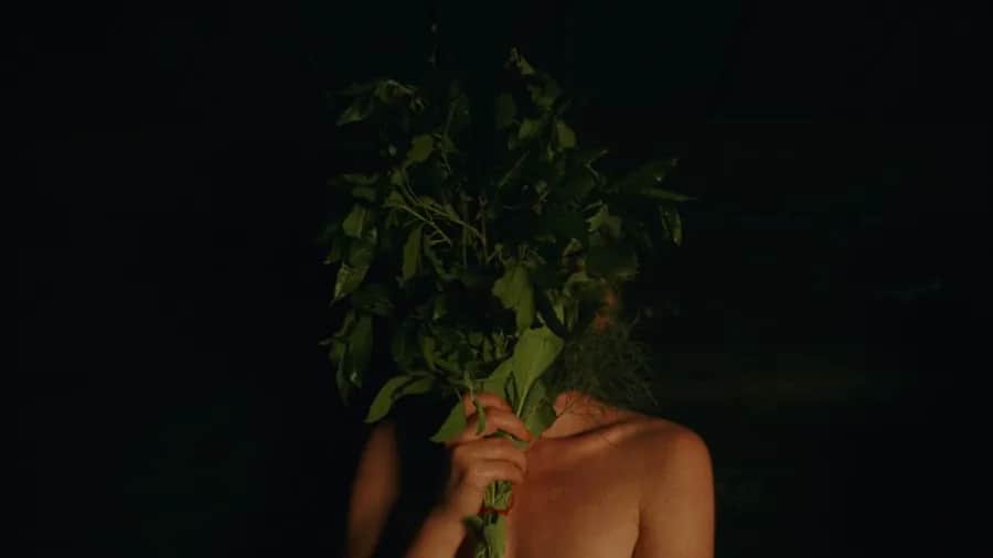 Recenzja Siostrzeństwo Świętej Sauny, jak wypada nowy film z 2023 roku?