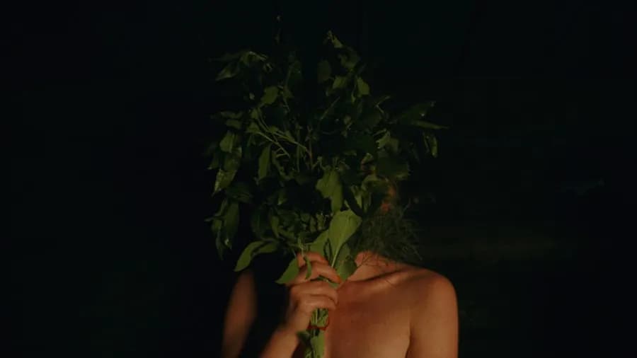 Recenzja Siostrzeństwo Świętej Sauny, jak wypada nowy film z 2023 roku?