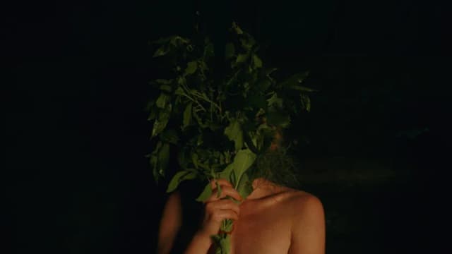 Recenzja Siostrzeństwo Świętej Sauny, jak wypada nowy film z 2023 roku?