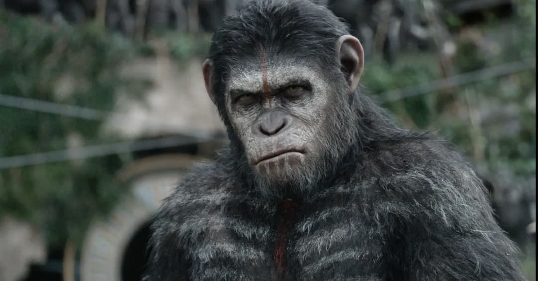 Najnowsze filmy z małpami w kinach - poznaj serię Planeta Małp