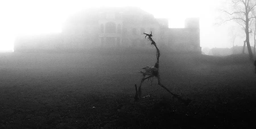 Film Listopad: Mroczna baśń na pograniczu horroru i fantasy