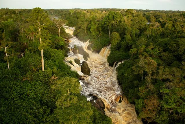 Film był sobie las - wyjątkowa animacja o tajemnicach ekosystemu leśnego
