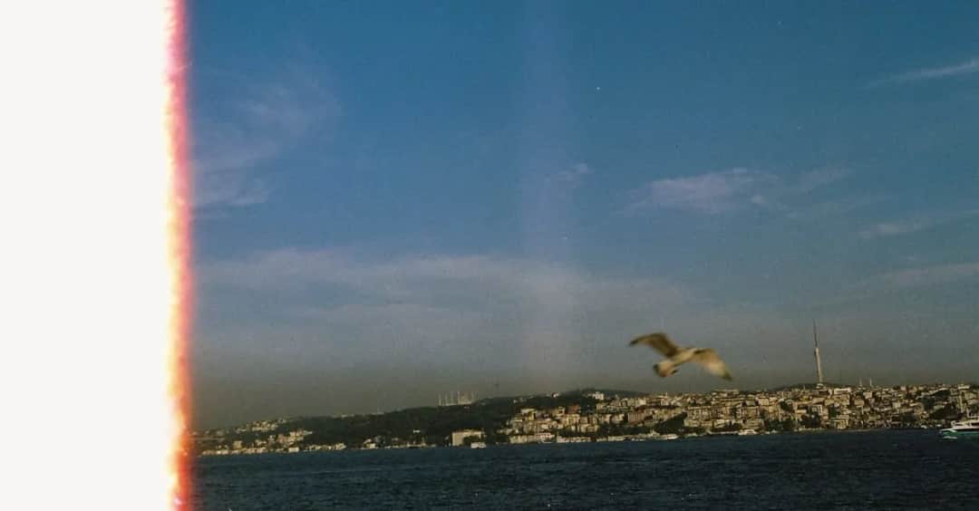 Magia 16mm: Dlaczego wielcy reżyserzy wracają do klasyki?