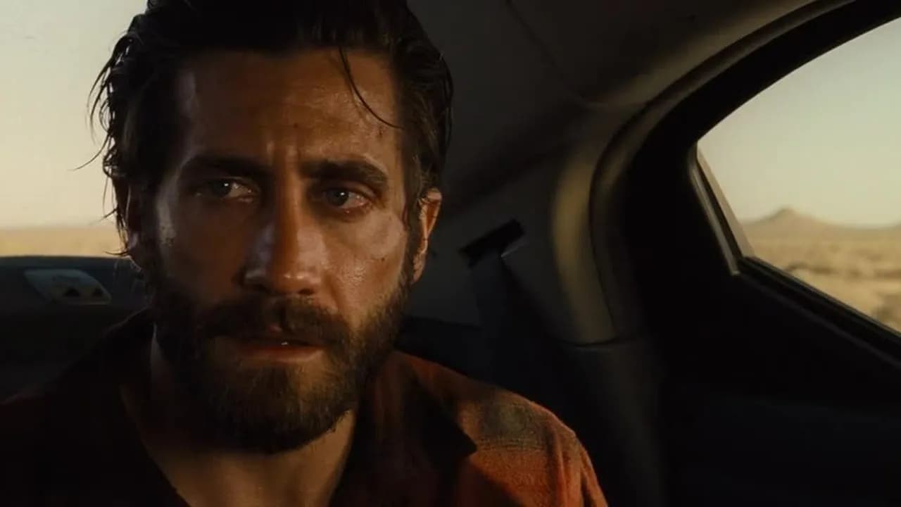 Film zwierzęta nocy - mroczny thriller o zemście i przebaczeniu